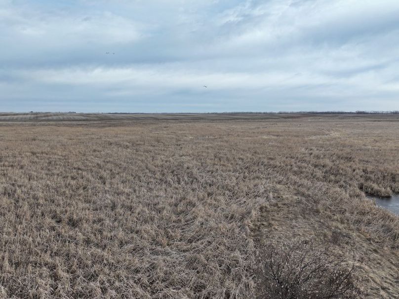 DJI_20260222124540_0028_D