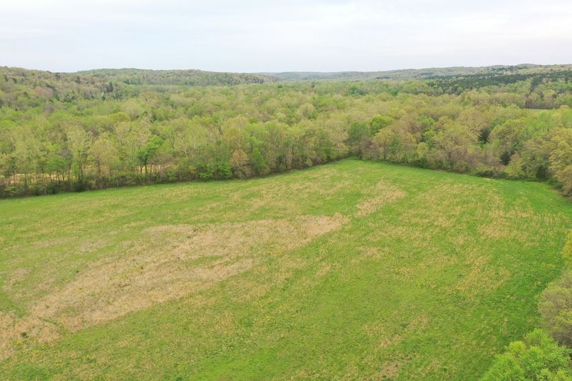 DJI_0768