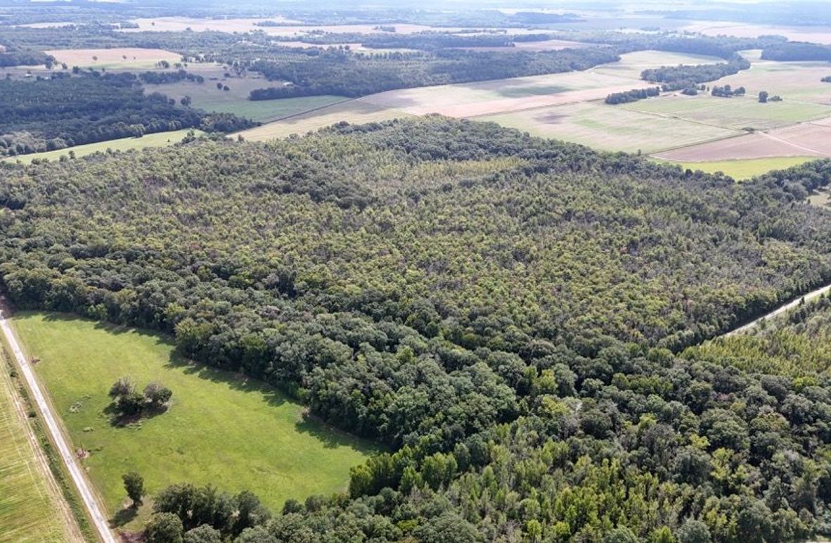 DJI_20250923004730_0738_D