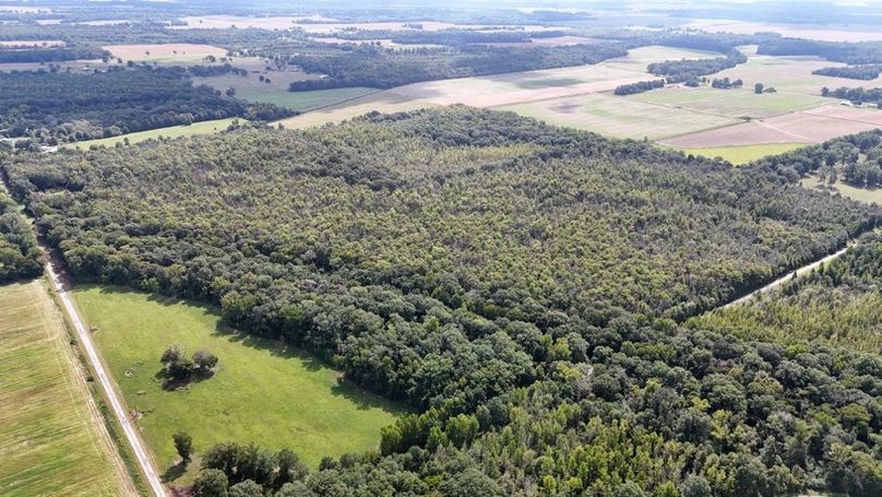 DJI_20250923004730_0738_D