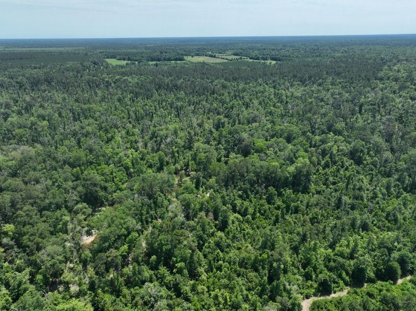 dji_fly_20250522_161334_229_1747959563456_photo