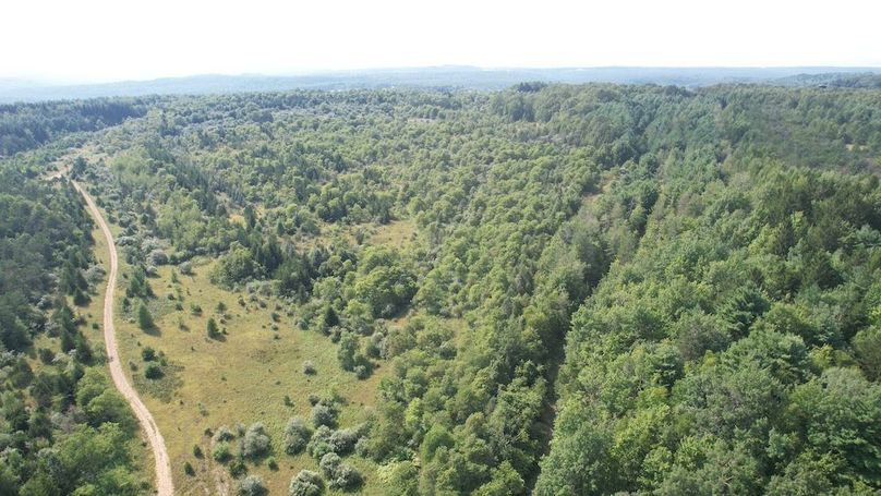 dji_fly_20250804_162352_502_1754355790612_photo