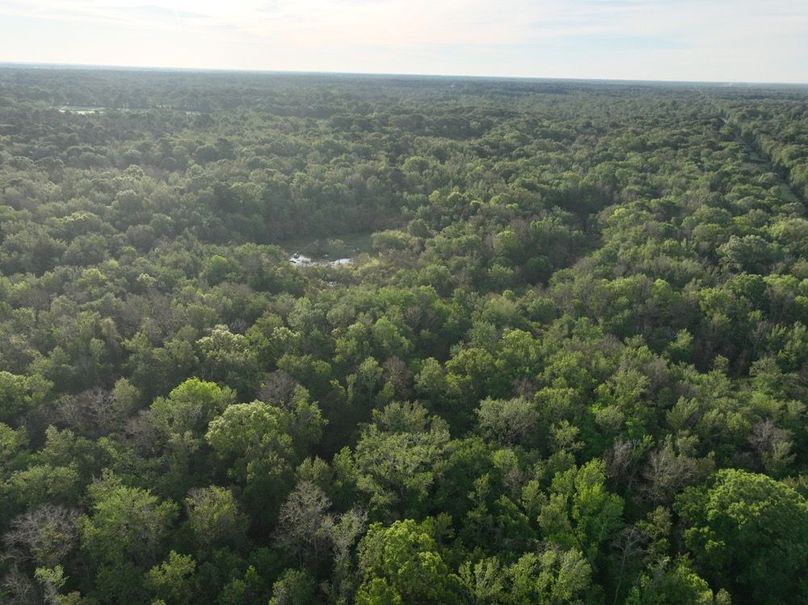 dji_fly_20260407_083406_355_1775580334579_photo