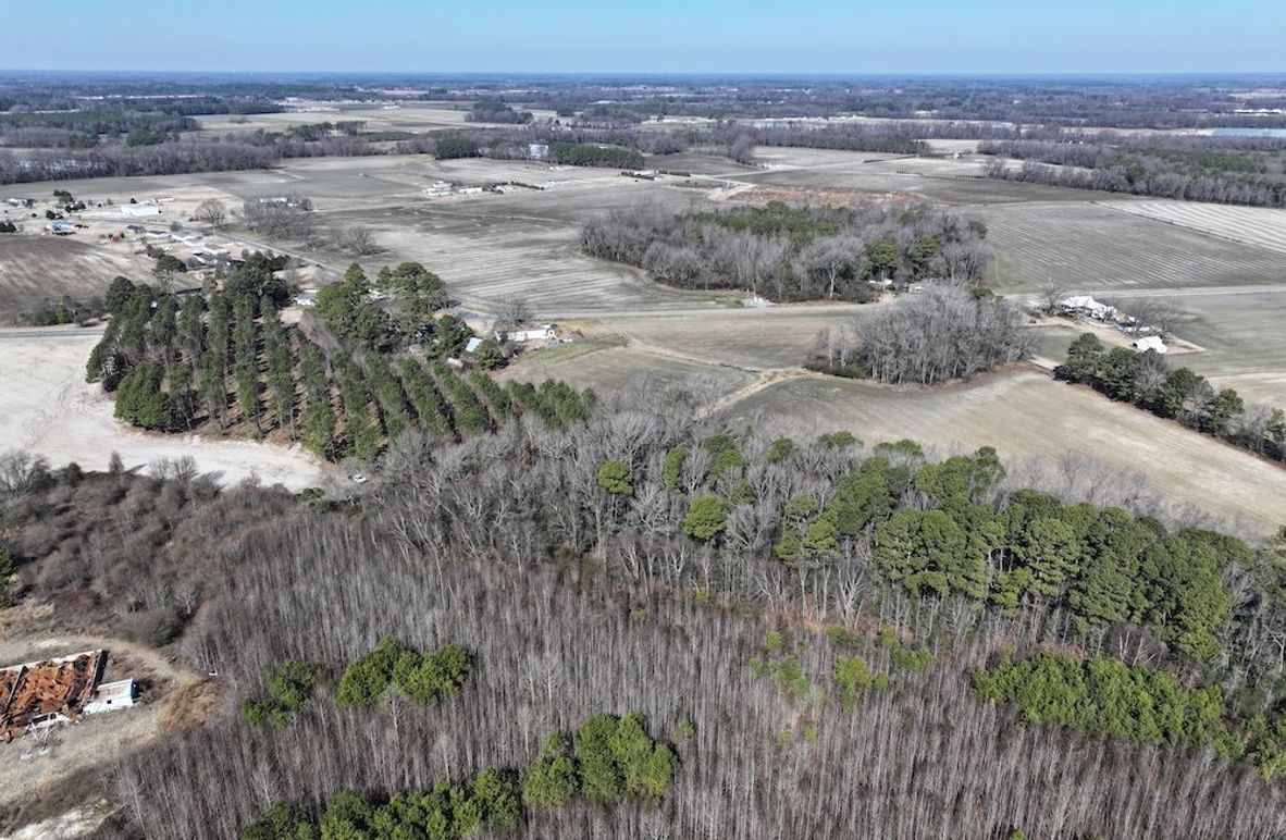 DJI_20260201120652_0389_D