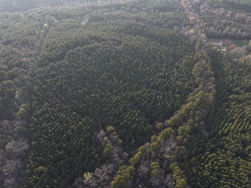 012FE - 83 Acres - Drone-8
