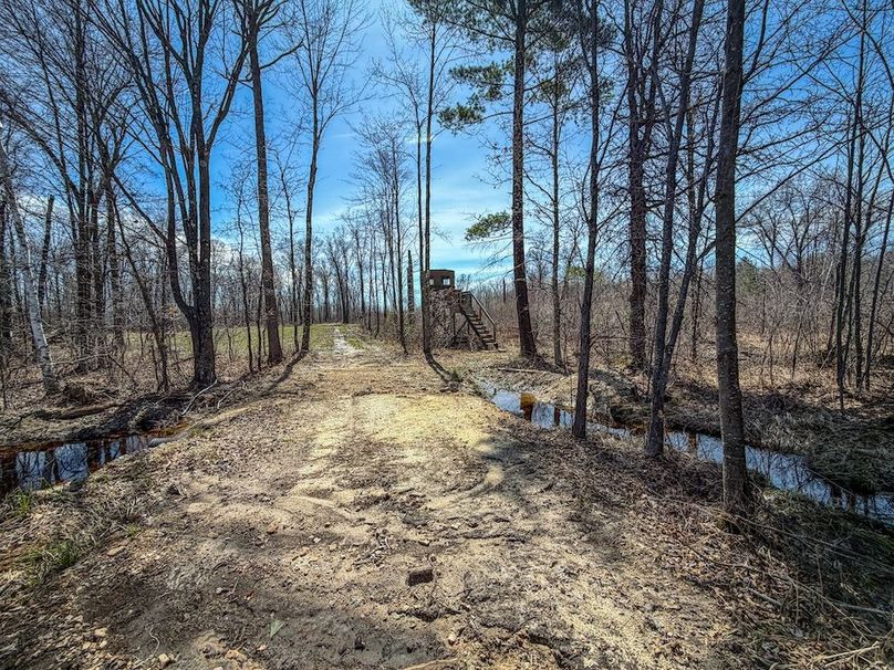 ClarK 160 WILLIAMS -56