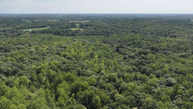dji_fly_20240904_132802_0370_1725471195873_photo