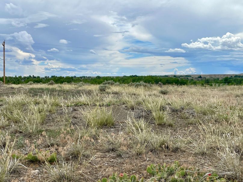 068D0B51-FB97-4D6D-A853-8803A96FB357_1_201_a