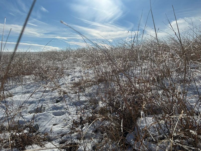 2E89FEFF-D603-4DD7-9C75-7FDAB4B6B761_1_105_c