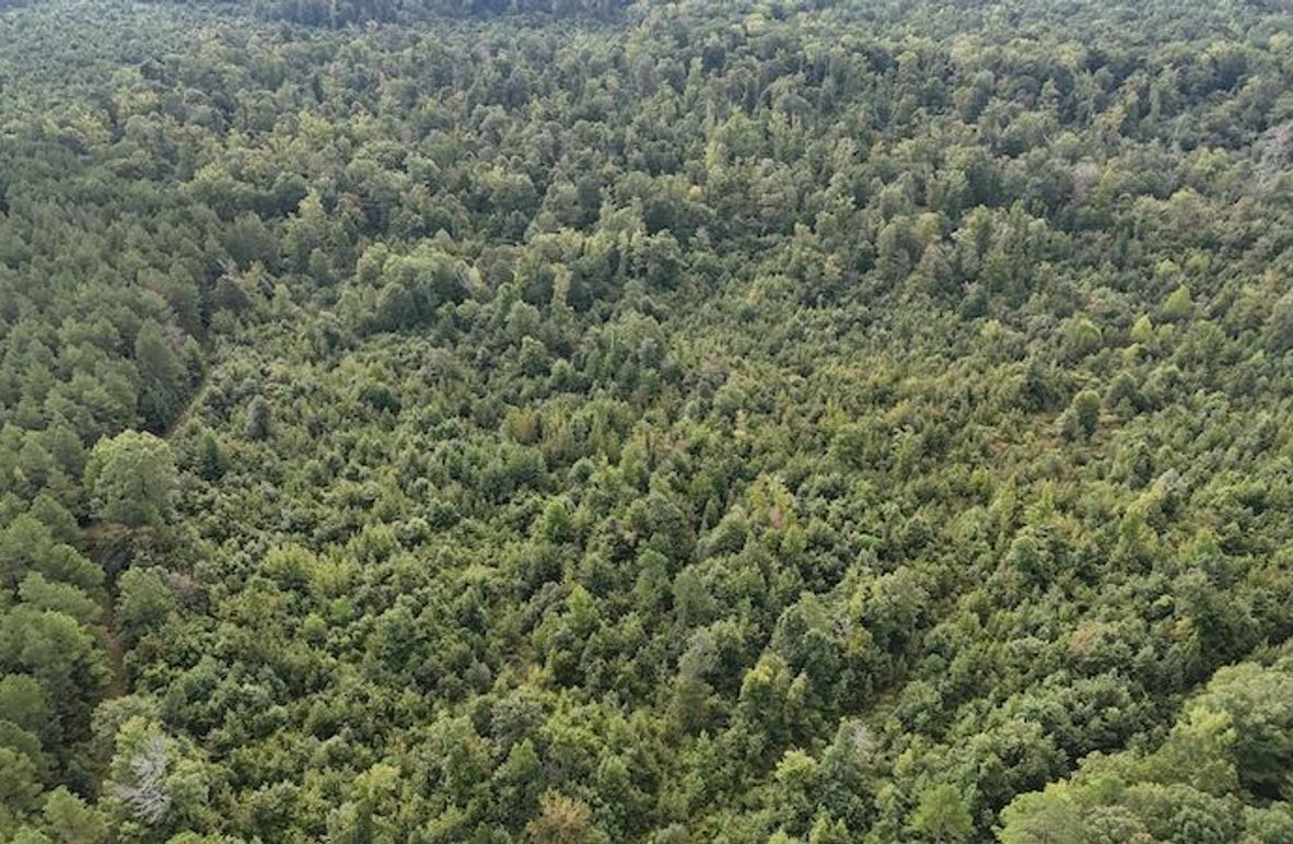 DJI_20250814091841_0060_D