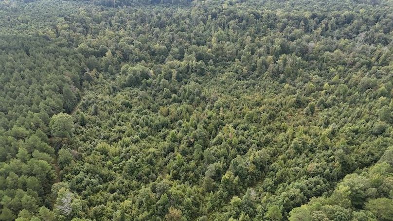 DJI_20250814091841_0060_D