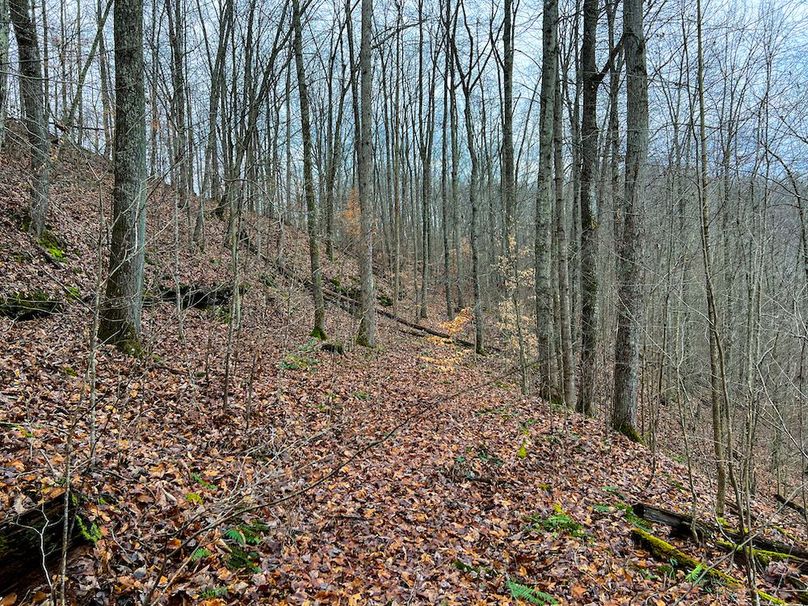 Calhoun, WV 225.69 AC Duffield-50