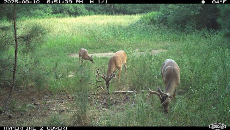 TwinStatesTrailCam20