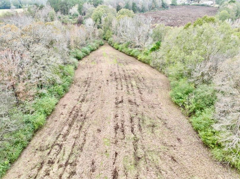 60555C48-6AC7-4FFB-8679-9185489F4715_1_201_a-2