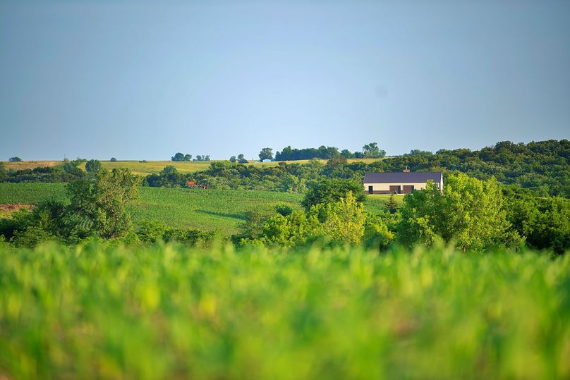 Harrison MO 480 Pro Photo_230 (20)