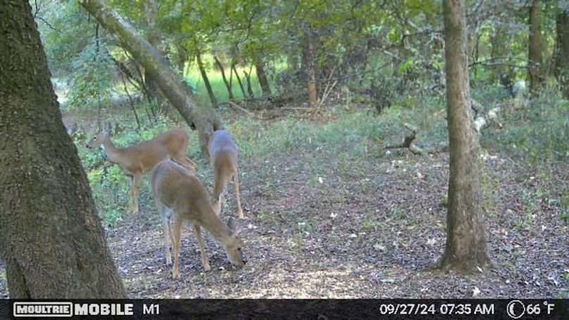 1688612-20240927123646-20240927073532_000513