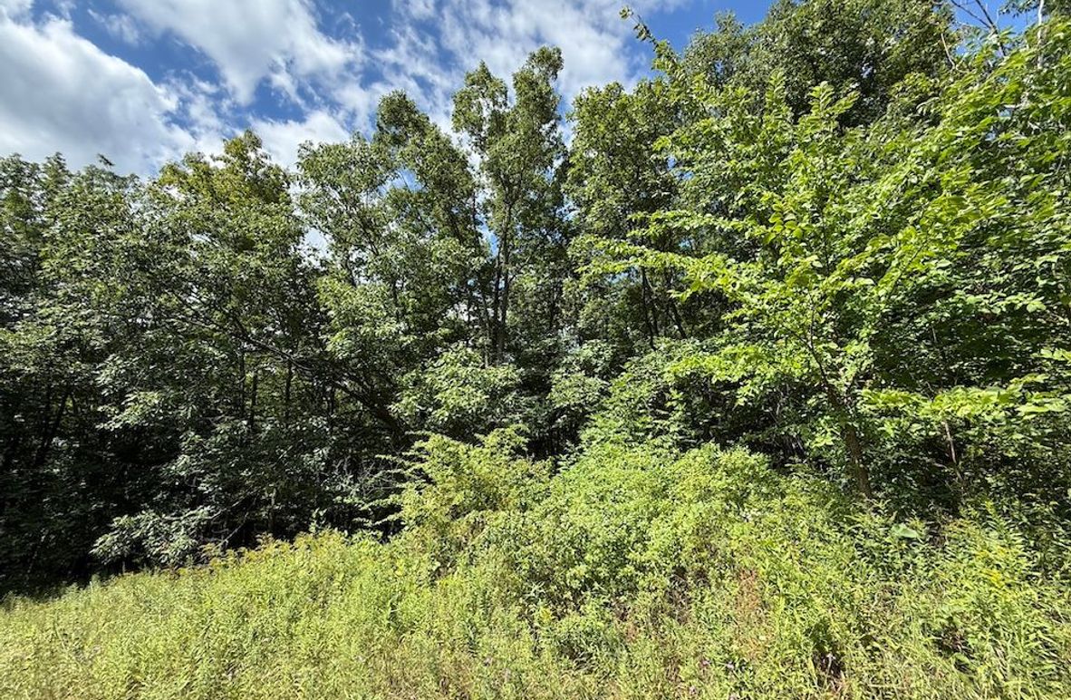 Ontario_2.7_Proseus Photo 3