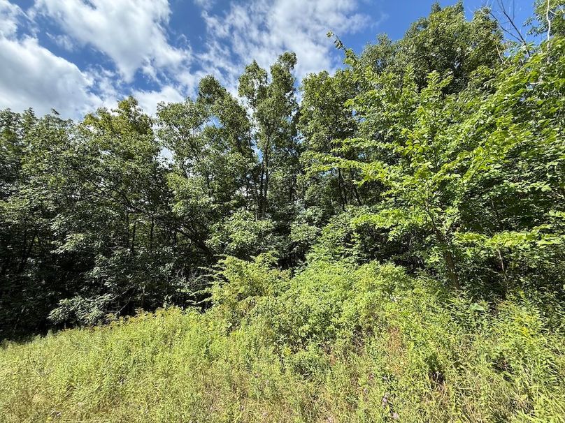 Ontario_2.7_Proseus Photo 3