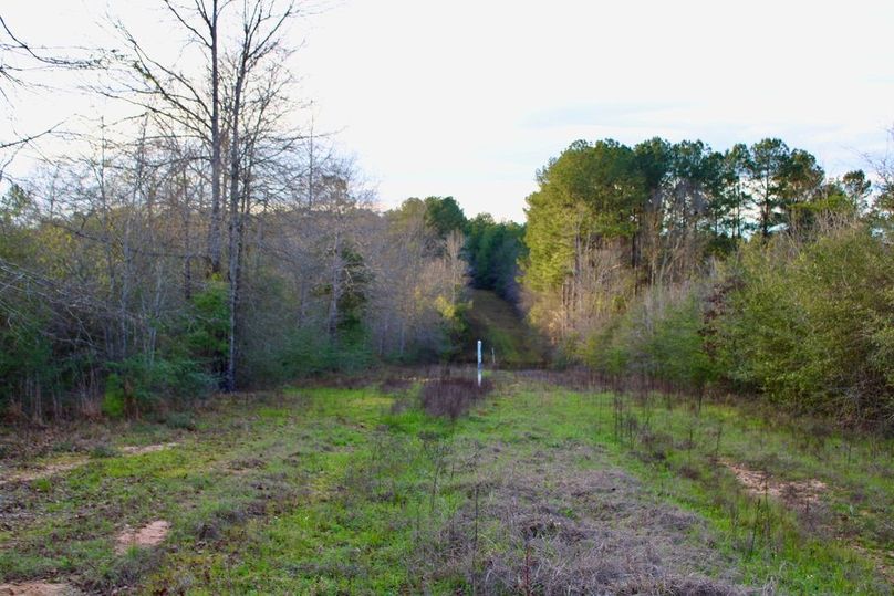 080458B3-2586-4D1E-AE8E-7CAAAB30082D_1_105_c