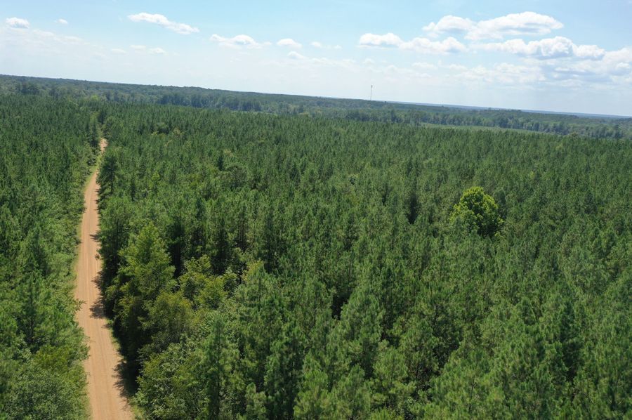 DJI_0098