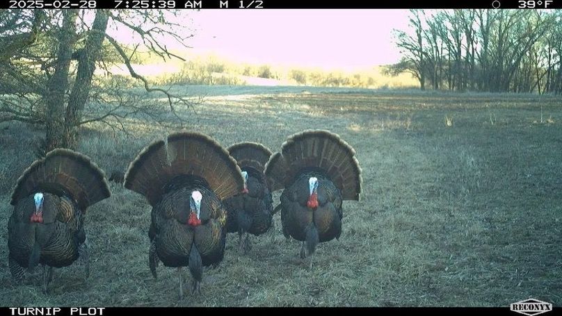 Copy of Copy of 1-5505585581