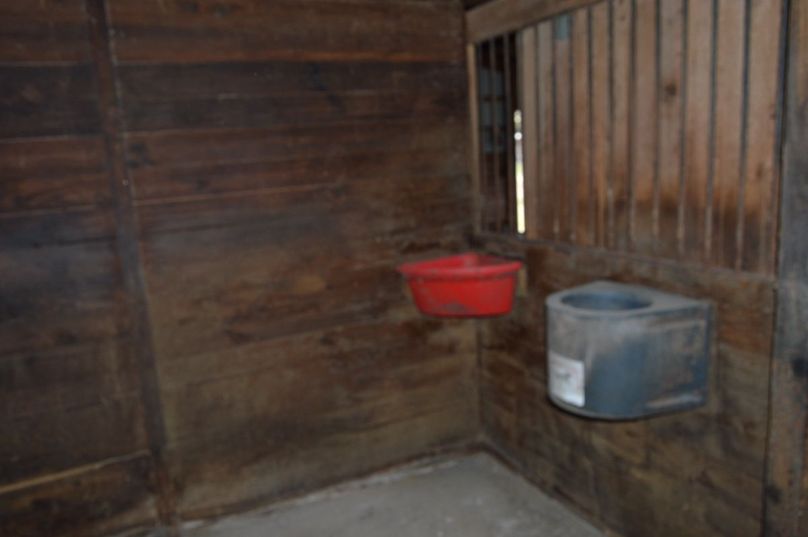 inside stall