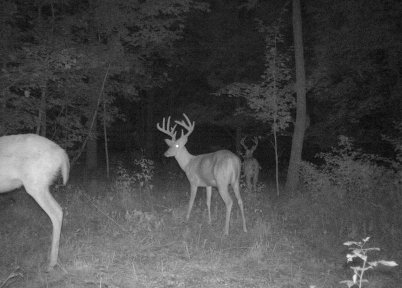 C2C0B10B-FD04-49F2-B77C-7CF505C59654