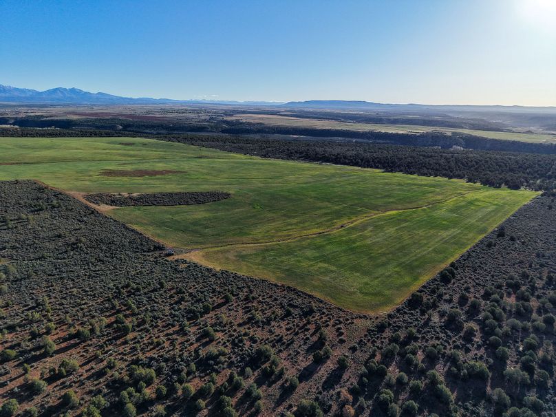 DJI_20260423075914_0213_D