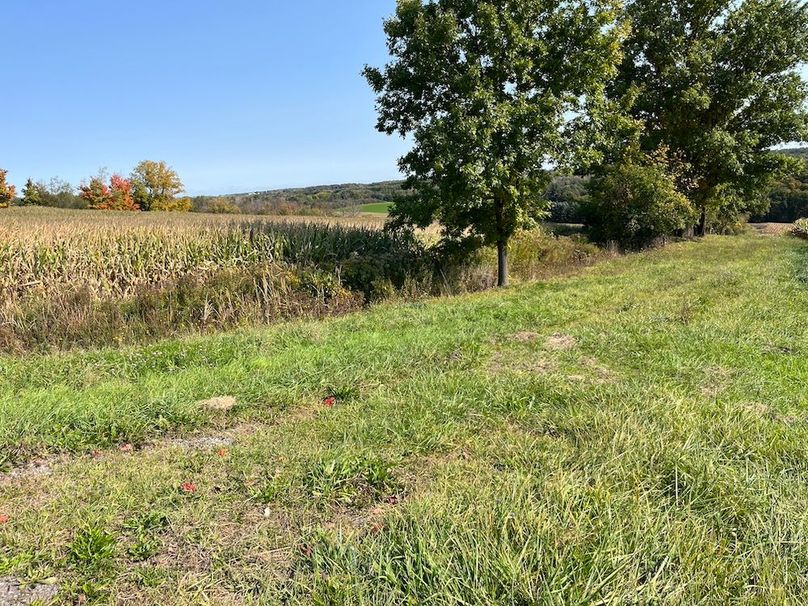 Yates_29_Stape Photo 16