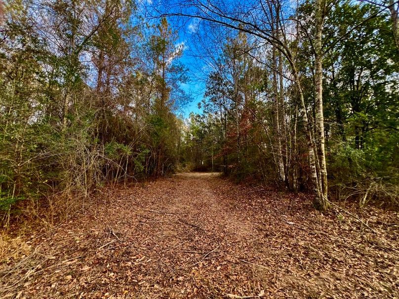 4C3D1D4A-BD67-423F-9CBC-00634D12C2C3_1_201_a