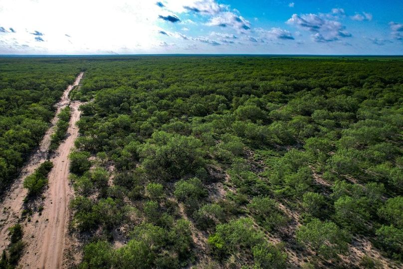 DJI_0255