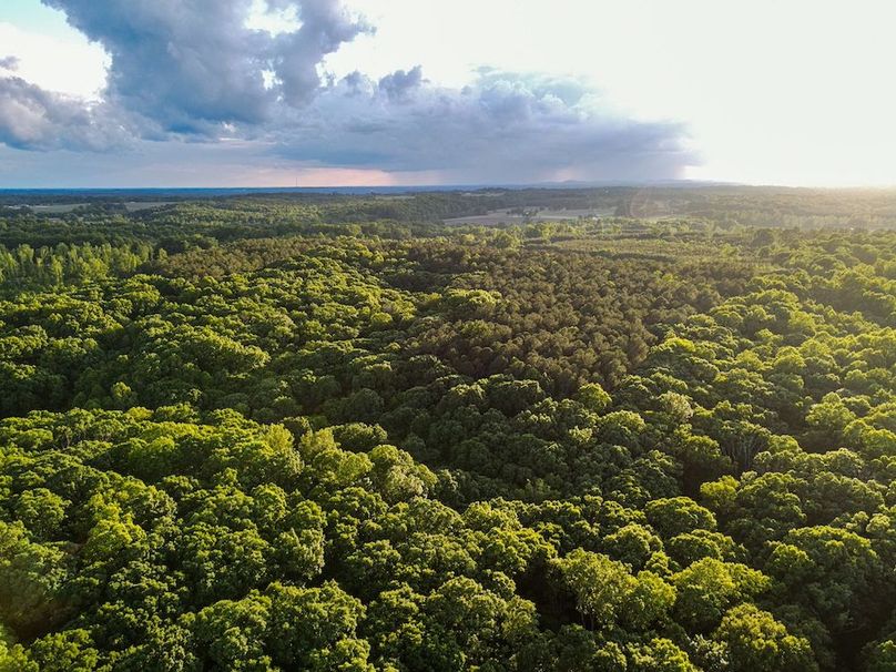 DJI_0563