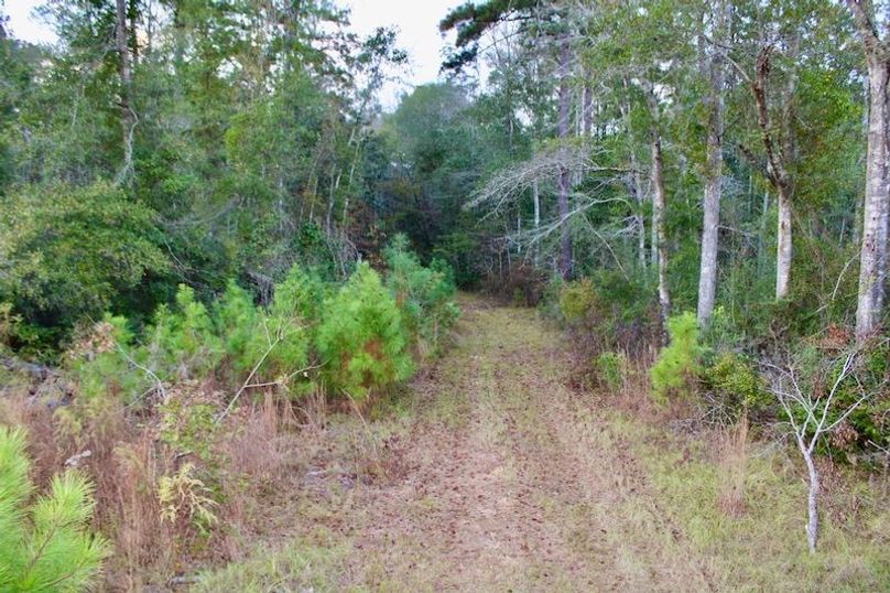 165CE631-2DFC-41AE-9866-4072FDEB2D01_1_105_c