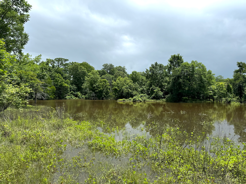 Screenshot 2025-10-03 at 11.19.18 AM