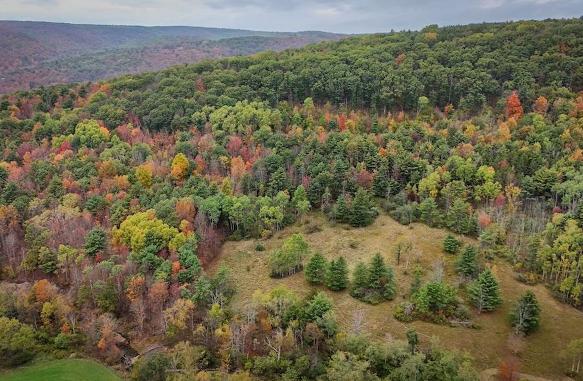 DJI_20251007161809_0645_D