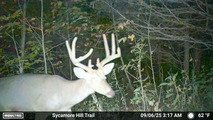 Fleming Petry 120-036