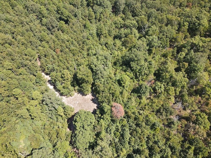 dji_fly_20250902_122452_772_1756833908379_photo