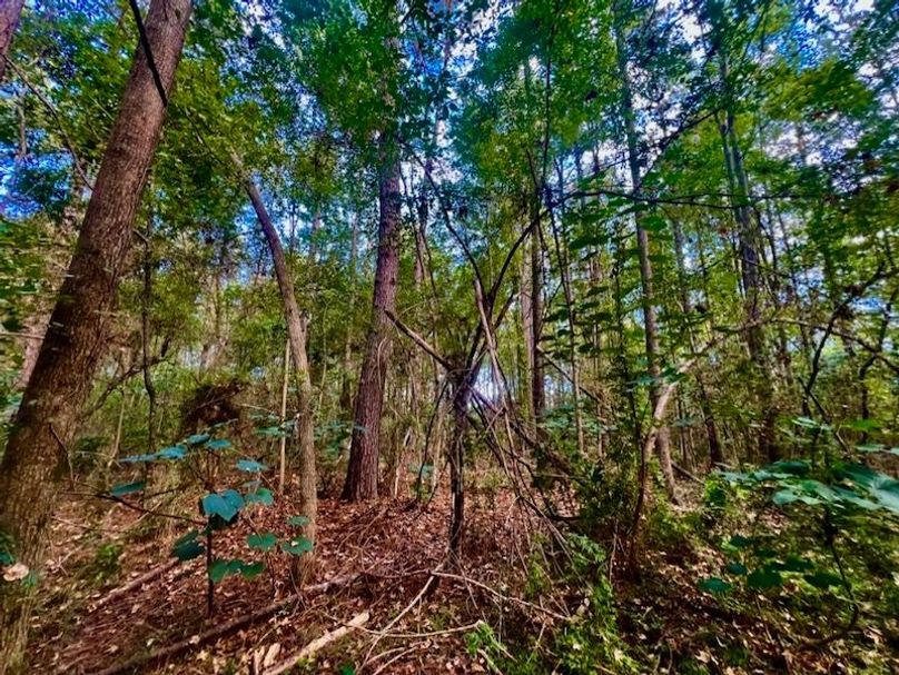 08B34666-3B67-4D13-BC80-5B575FD7DC5D_1_105_c