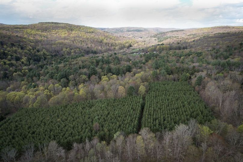 Tioga_76.65_Matyjas_Photos_21