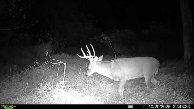 016579008159910-100-3-10202025224333-SYFW00182