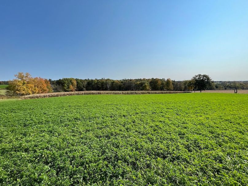 Yates_29_Stape Photo 30