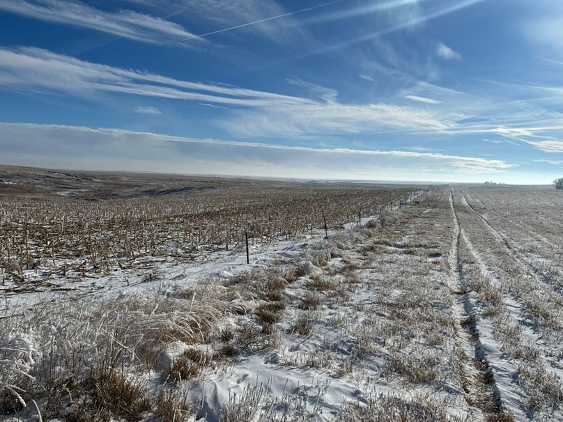 E60CA9A7-C066-4876-8D6F-4C8A8359951B_1_105_c