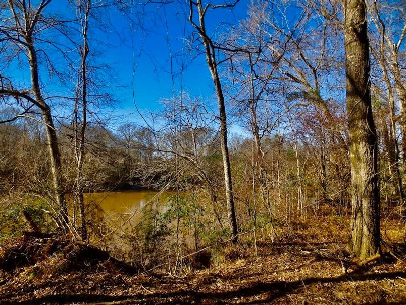 5815569A-279C-4B43-9919-64CEFEADA3E6_1_105_c