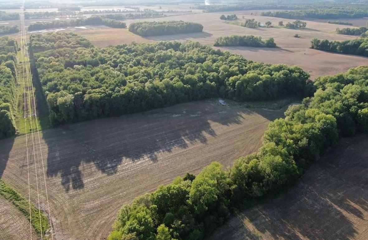 DJI_0878