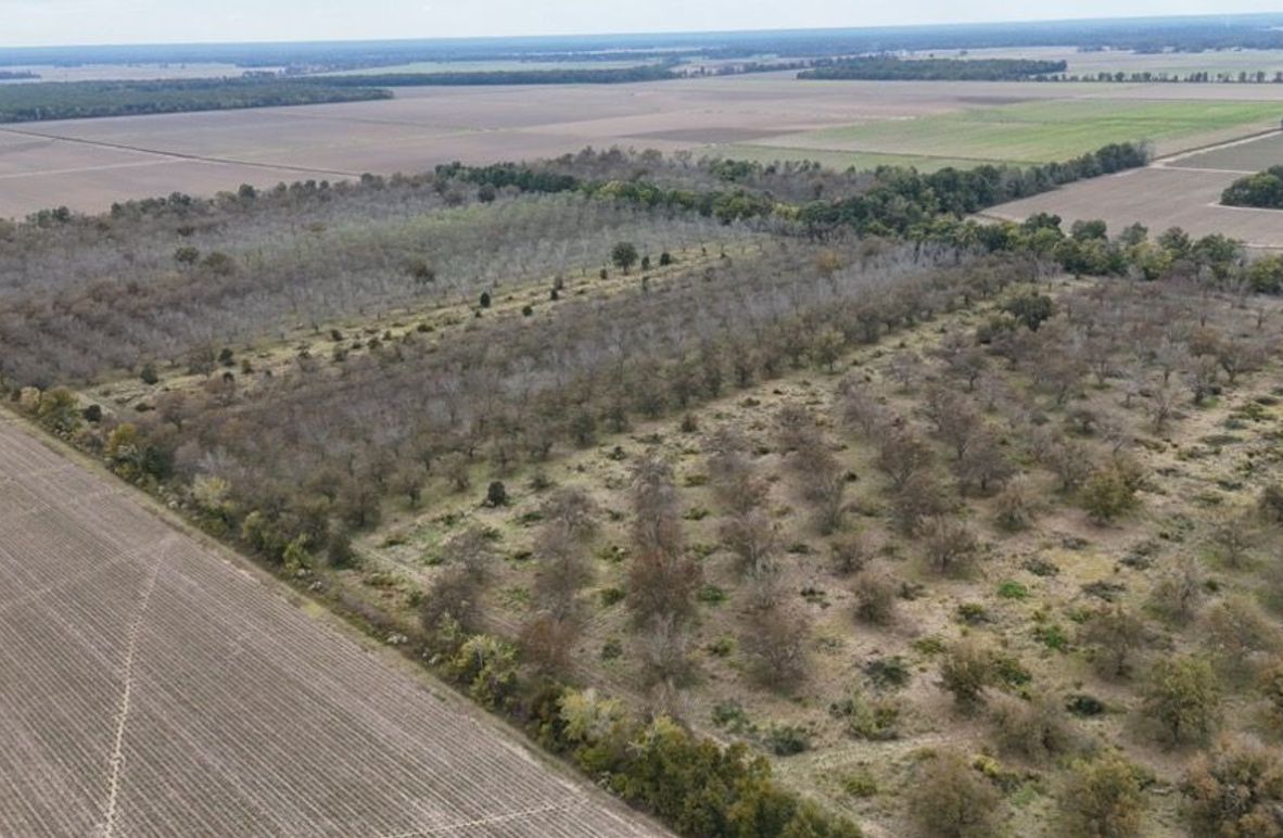 dji_fly_20251107_042940_0023_1762484052828_photo