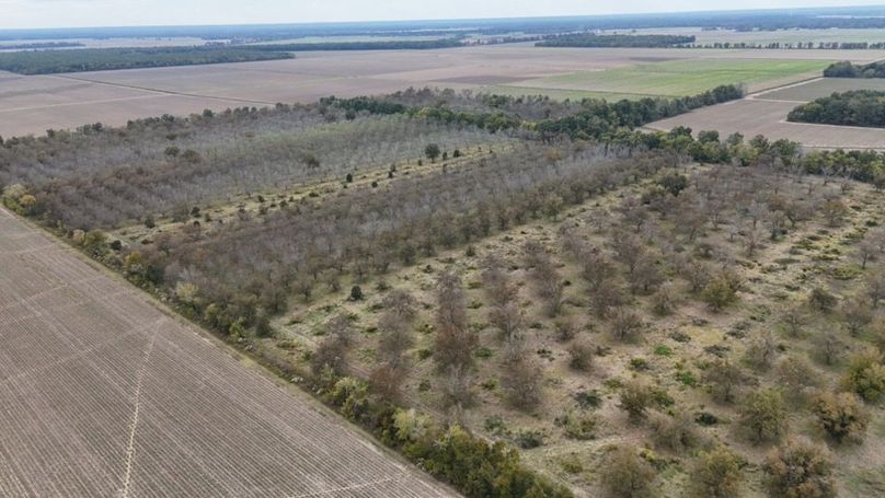 dji_fly_20251107_042940_0023_1762484052828_photo