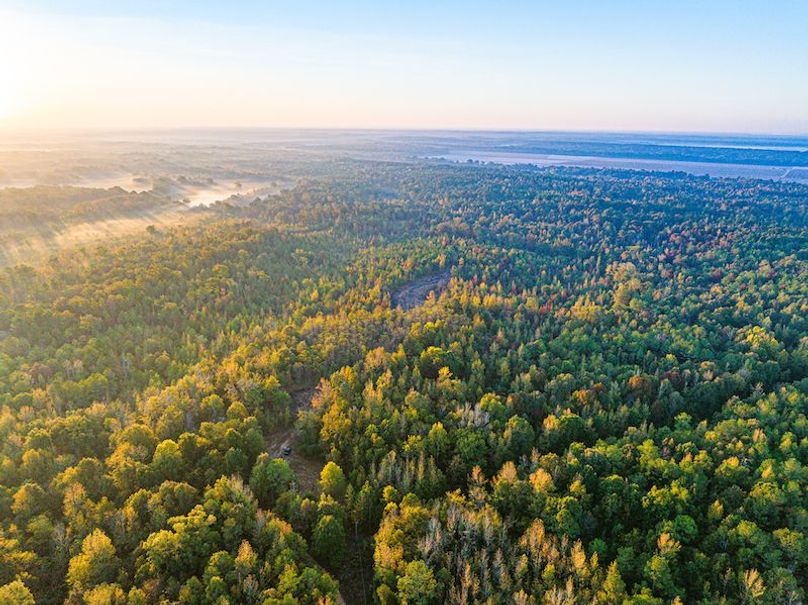 Clay 302.7 Henderson-60