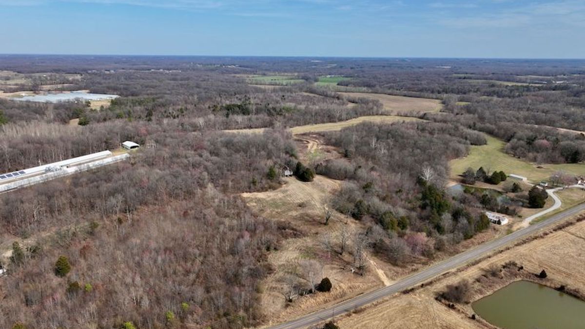 Diverse Hunting Tract With Lucrative Income Streams | Whitetail Properties