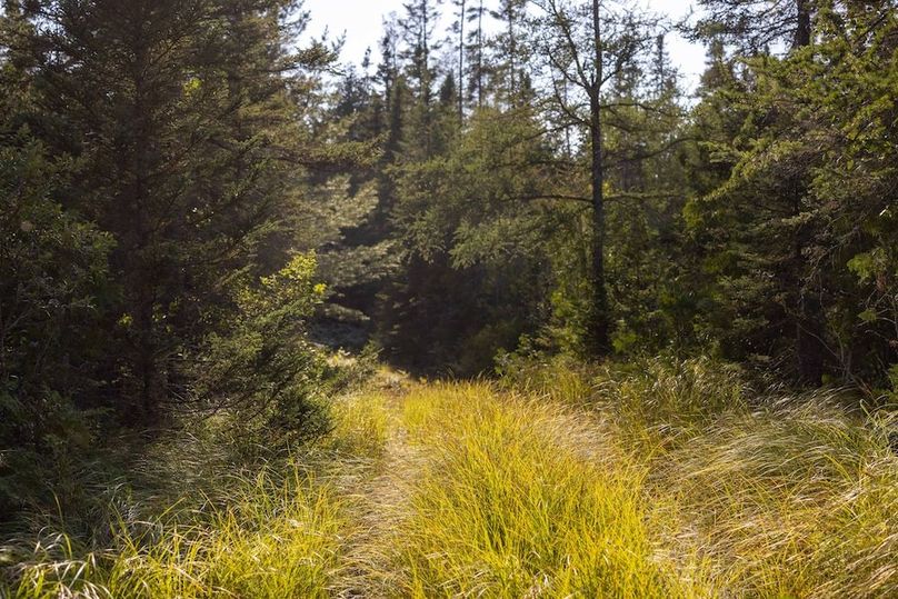 Mackinac 320 Copenhaver-82