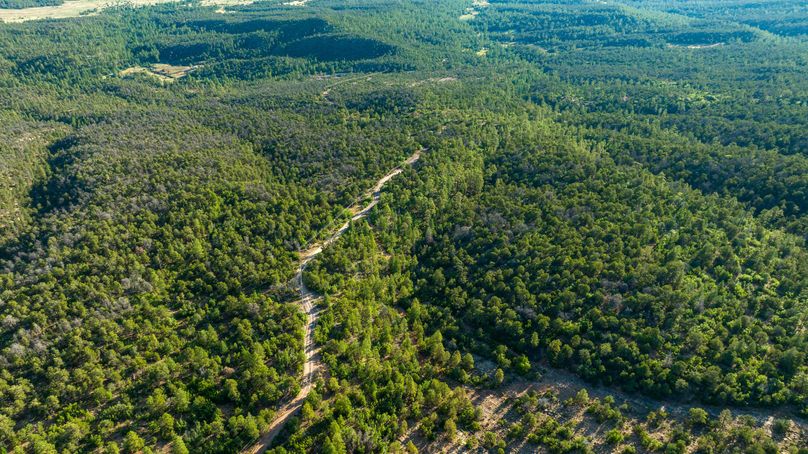 Cibola NM 13,053-0463